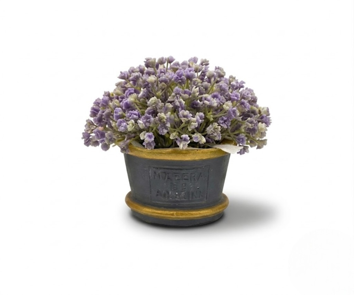 Violette Rustic Mini Plant