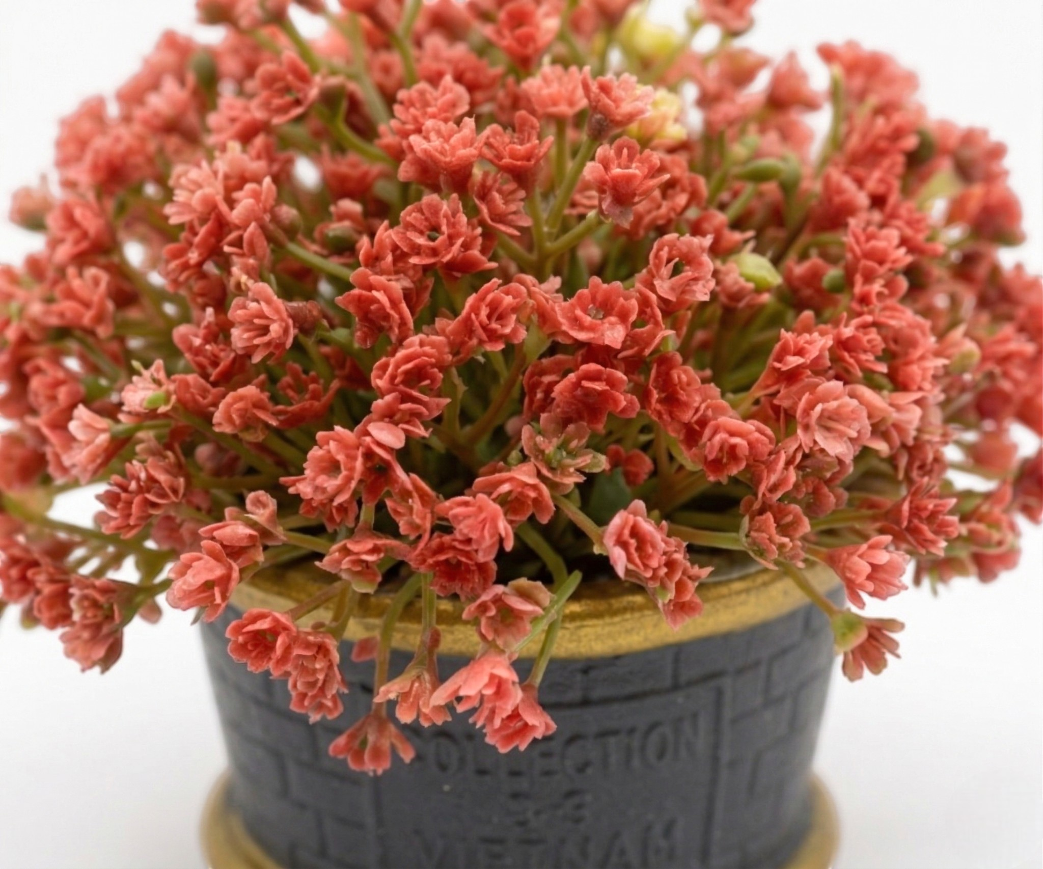 Violette Rustic Mini Plant