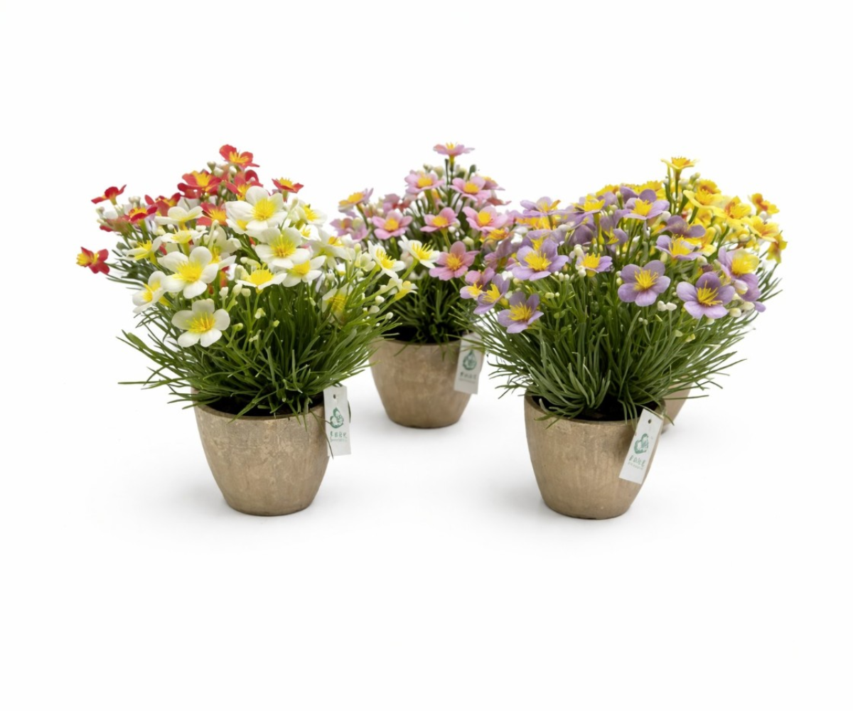 Assorted Potted Floral Arrangement