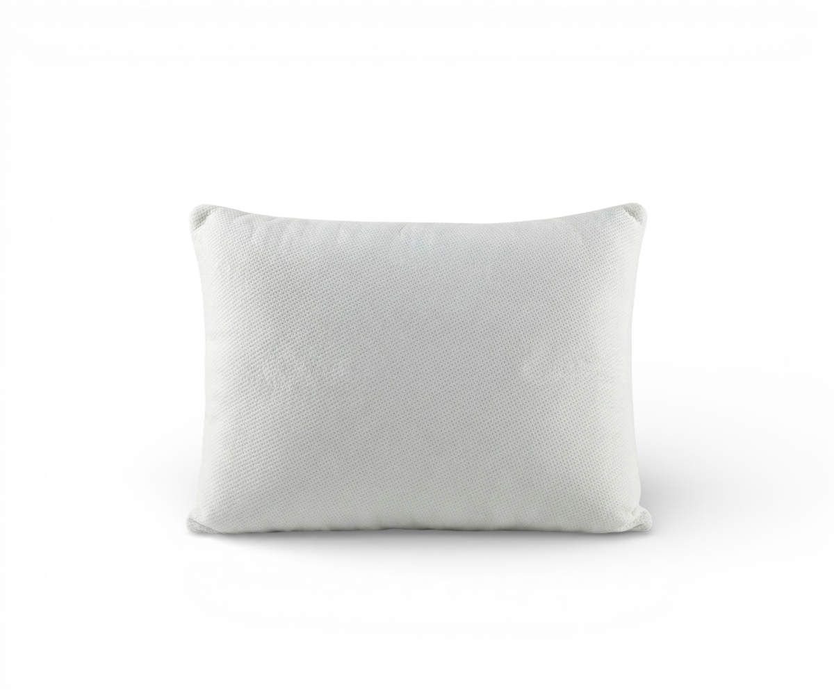 Bamboo pillow 2 pcs set, in its zipped retail carry bag with a bamboo-print label