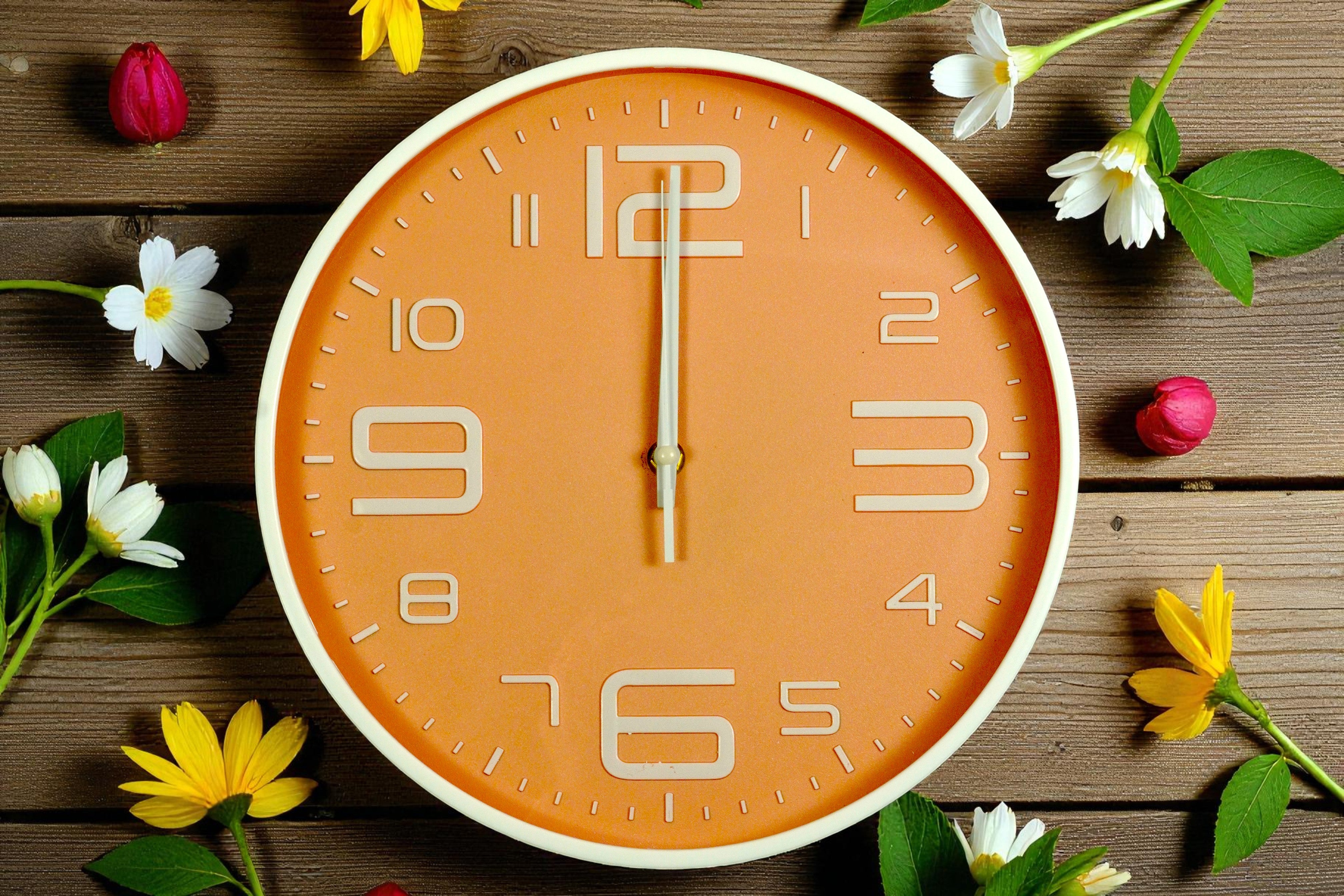 Coral peach minimalist wall clock on rustic wood, surrounded by spring flowers