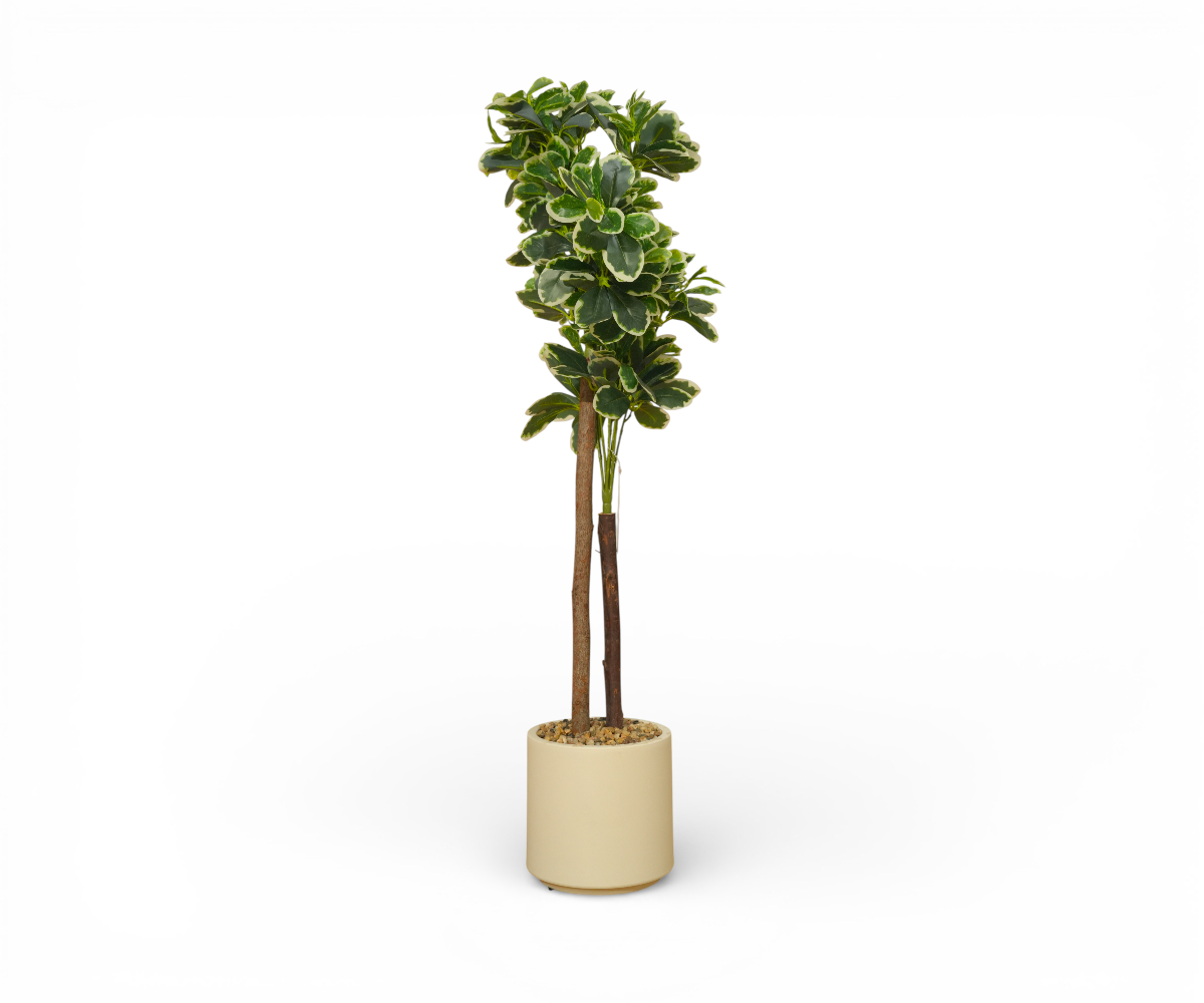 Fiddle Tower artificial tree in a cream cylindrical planter