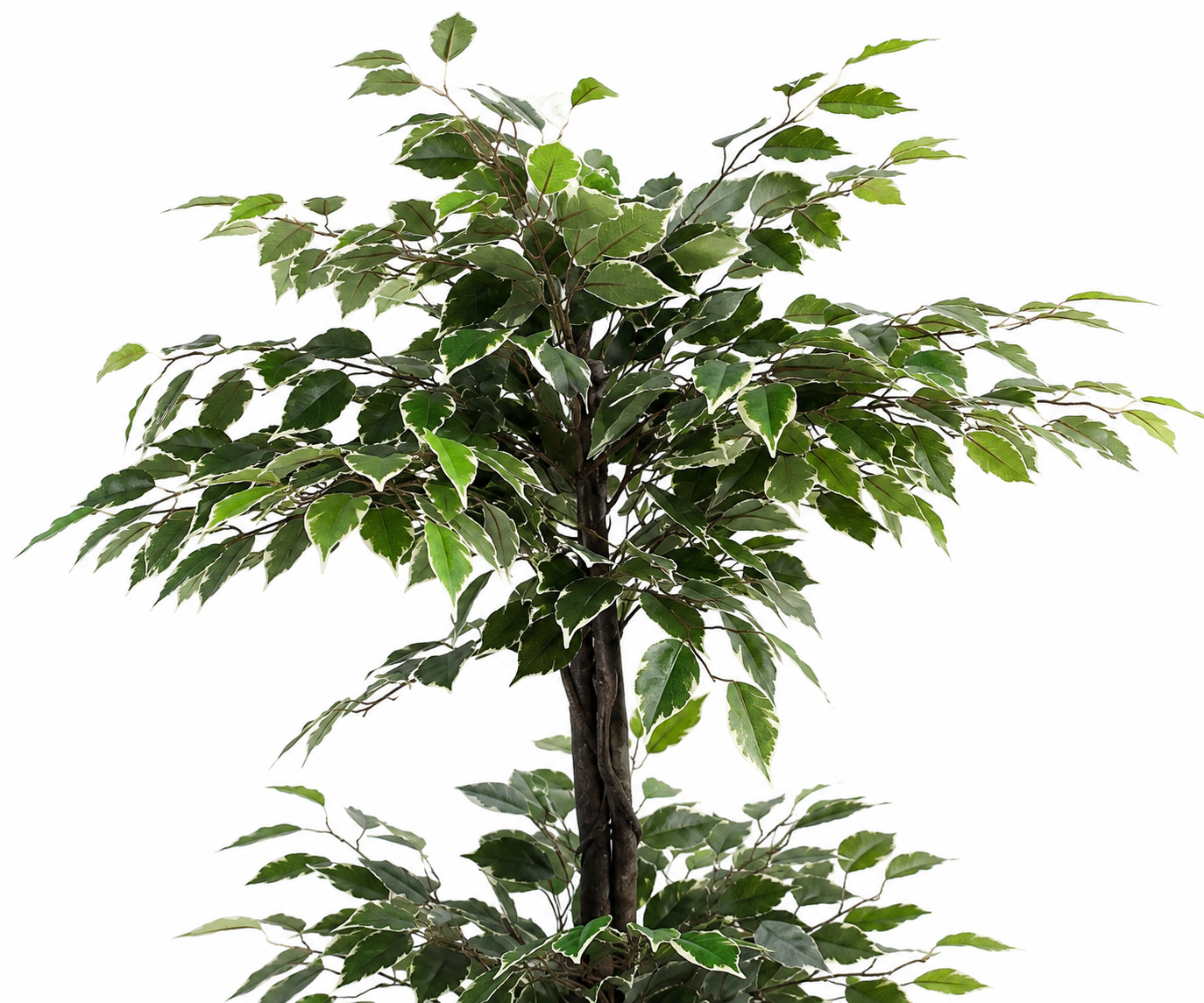 ID-AP37 artificial ficus tree in a plain black nursery pot