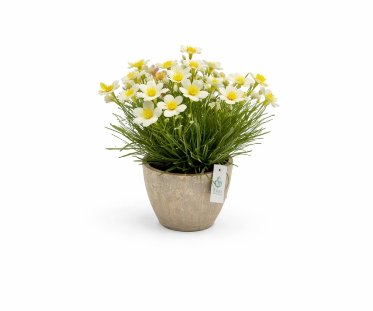 Lyra Pink Bloom mini pot, artificial white daisies in a small stone pot