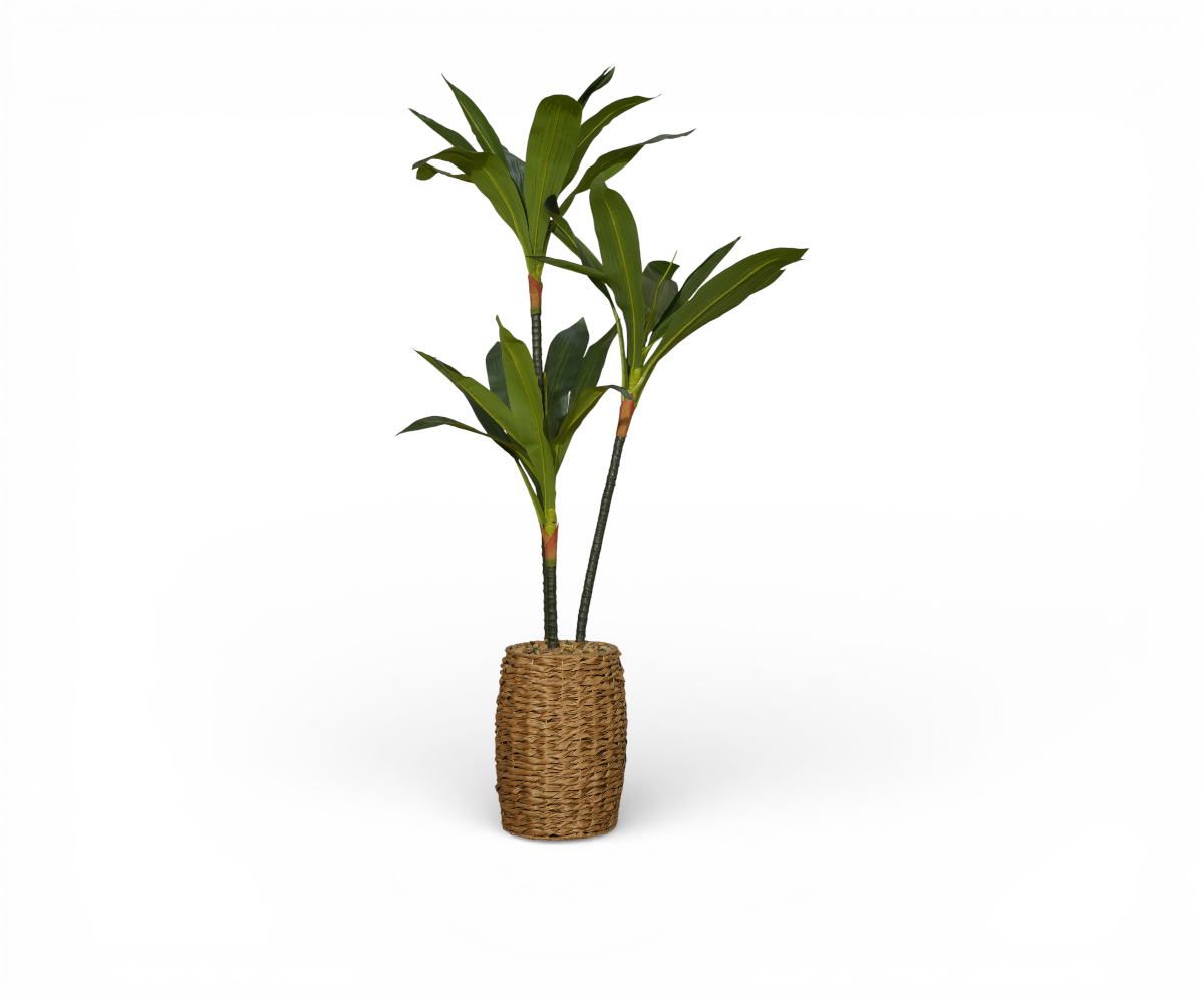 Palm Seagrass artificial palm in a woven seagrass basket
