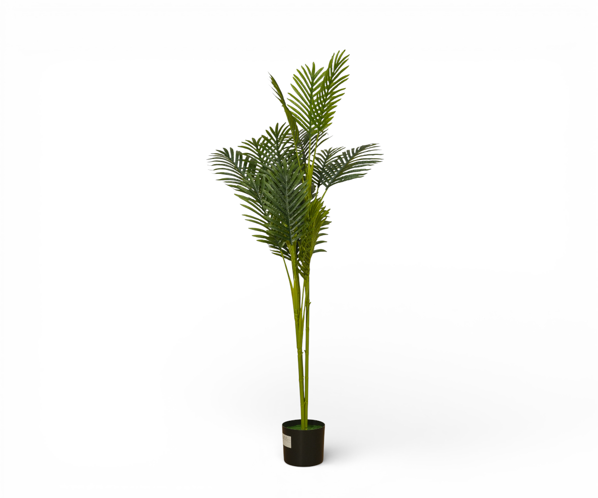 Paradise Twin artificial palm with two tall stems in a black planter