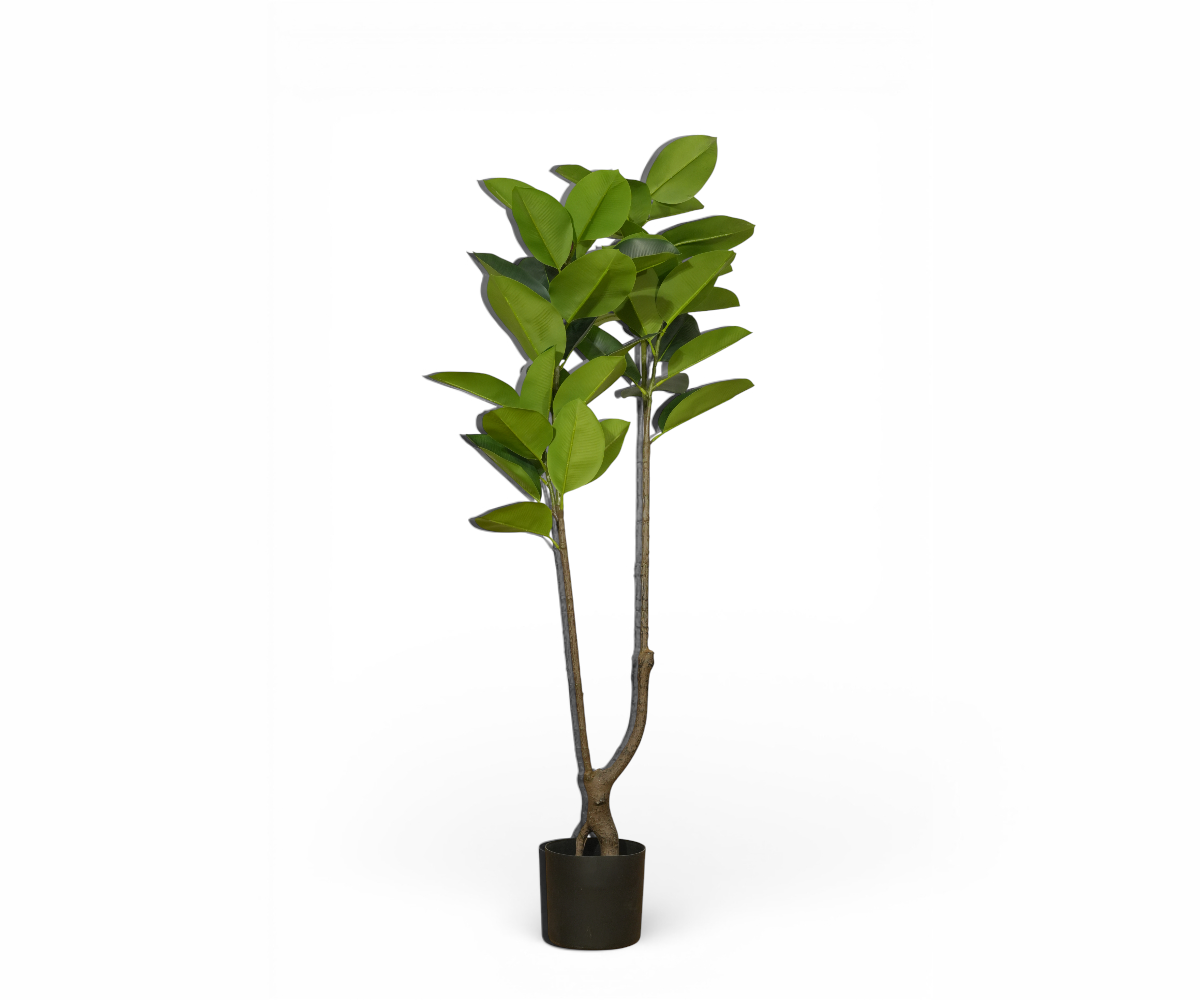Rubber Twin artificial plant with two stems in a black planter
