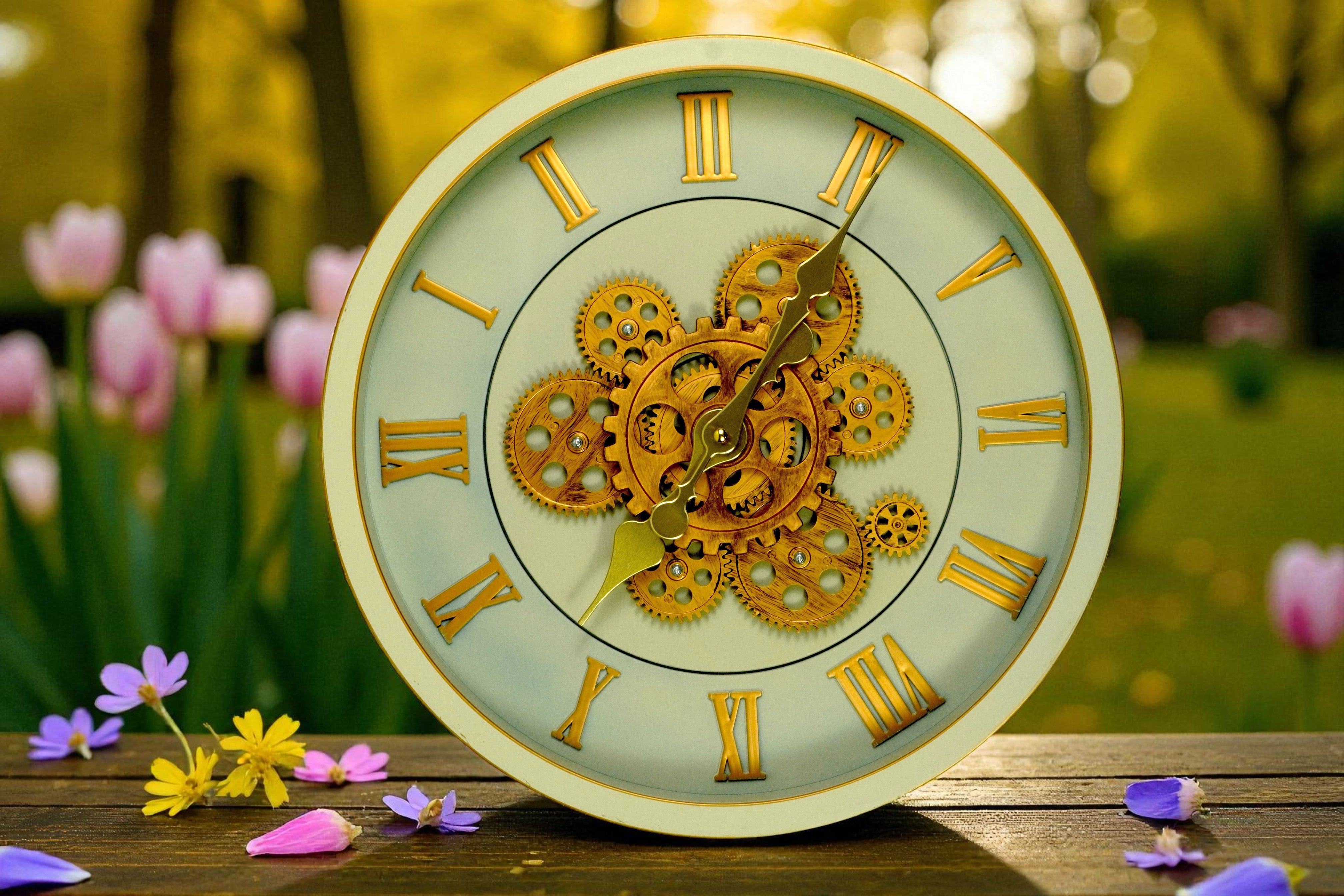 Sage gold gear skeleton wall clock outdoors beside tulips and blossom