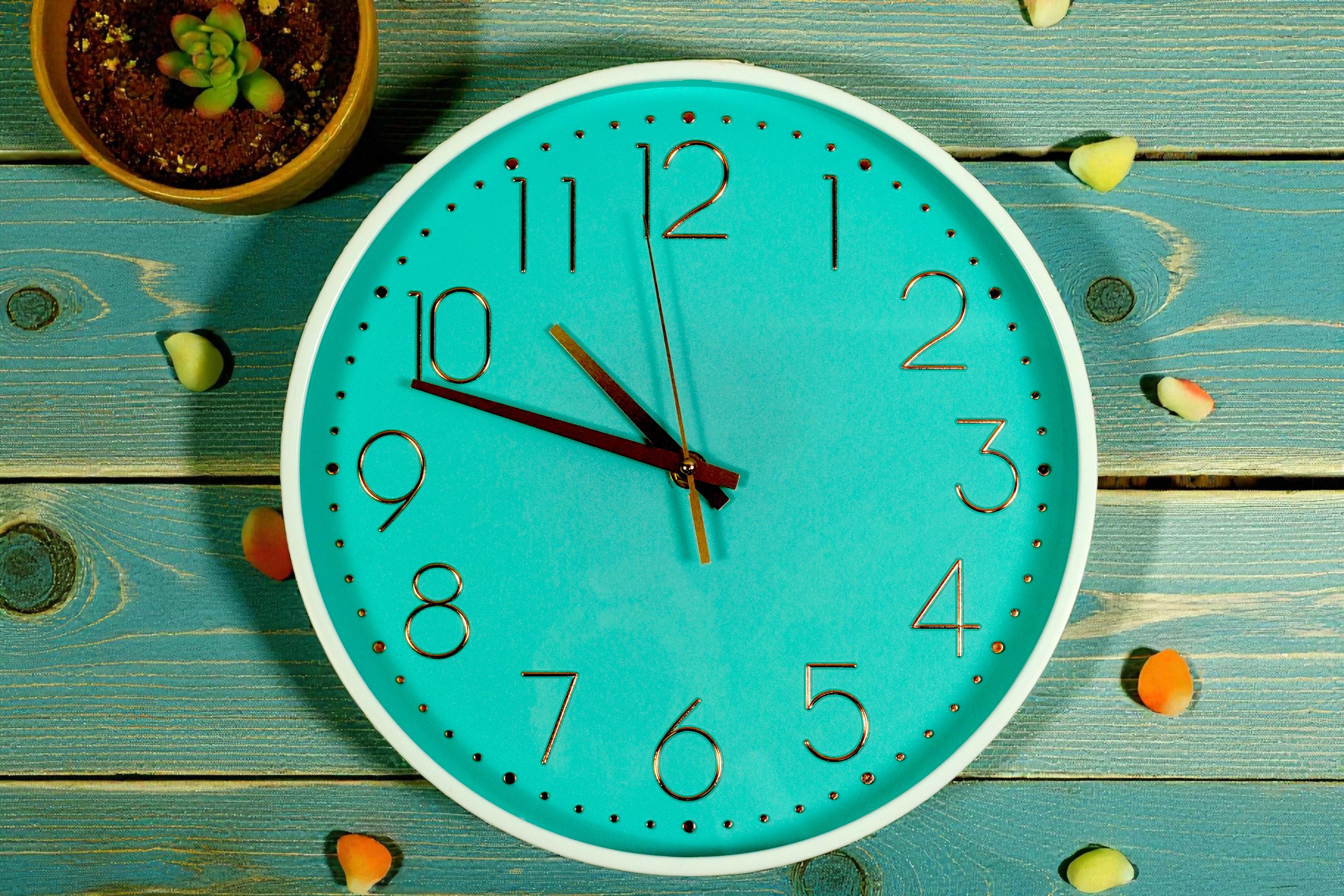 Turquoise gold numeral wall clock on teal planks beside a small plant