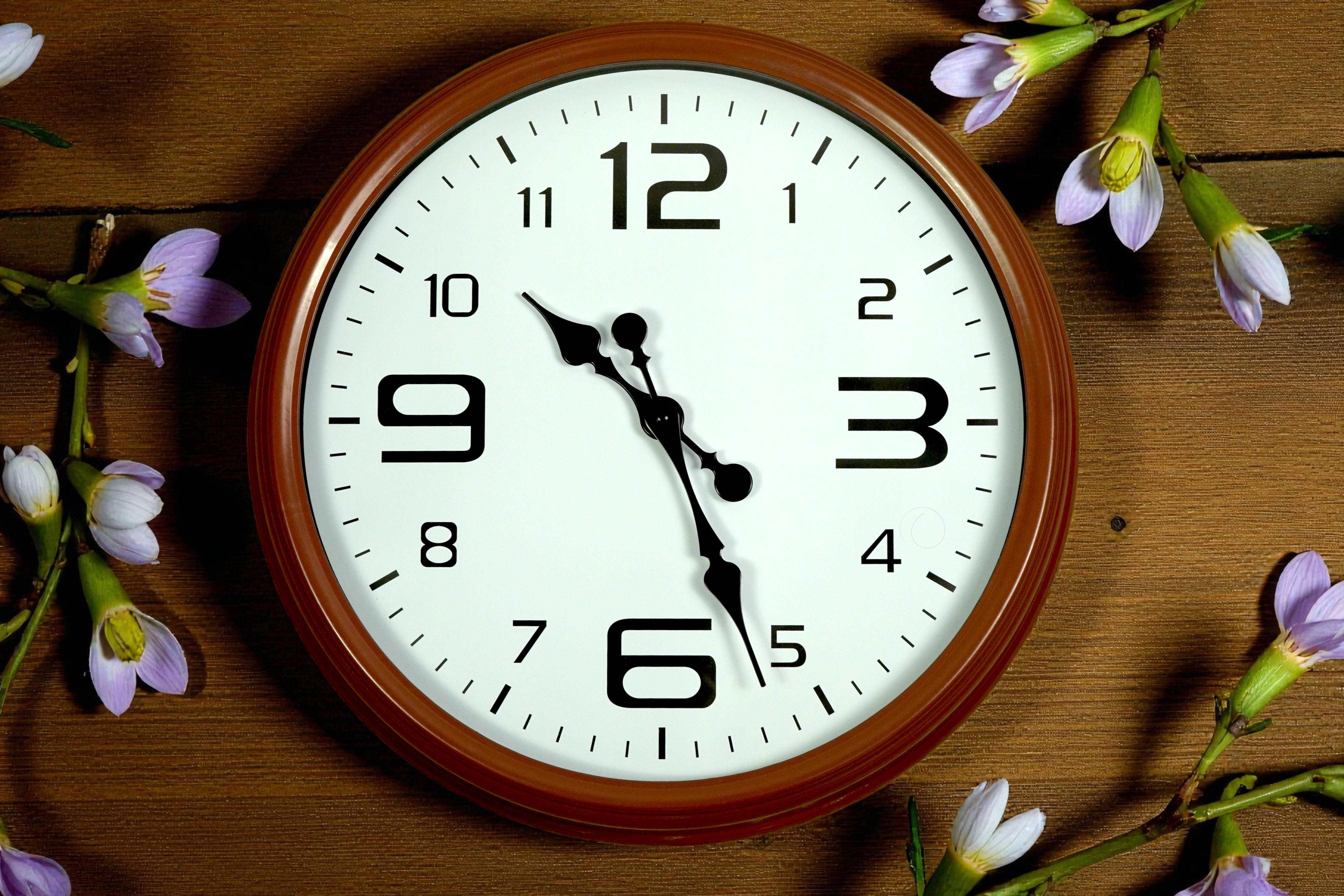 Walnut rim classic wall clock on wood, surrounded by pale spring flowers